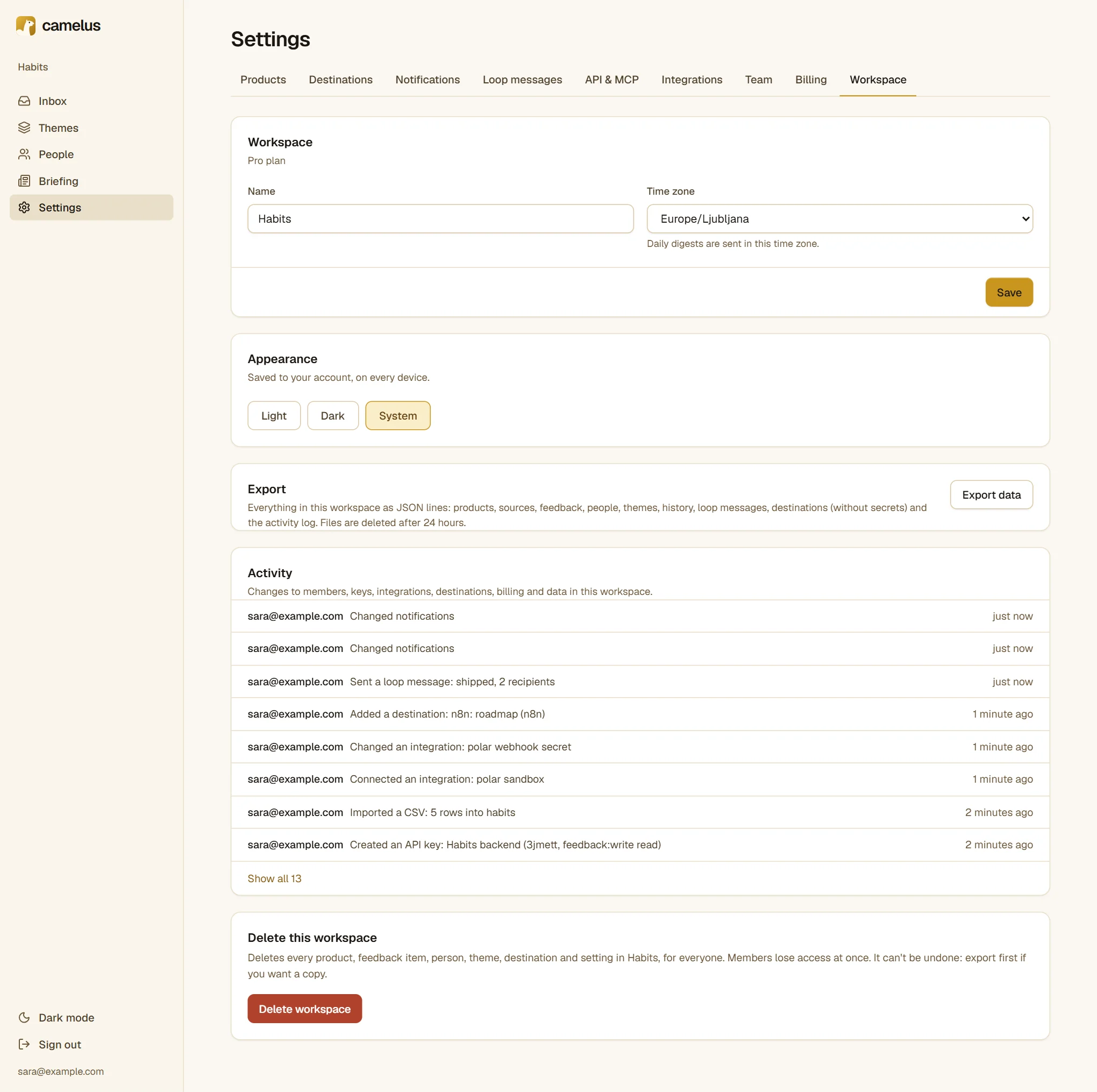 The Workspace settings: name and time zone, Export, the Activity log of changes to members, keys and integrations, and Delete this workspace.